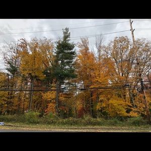 Meet your Posher, Tsakane